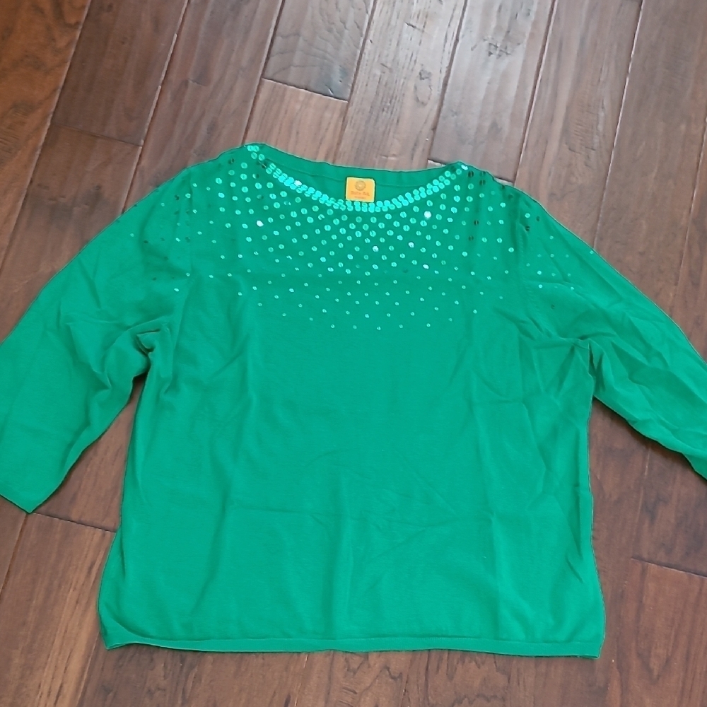 Ruby Rd Green Sweater with Sequin Detail size 3X